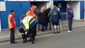 33658581591_fbc6a9f087_o