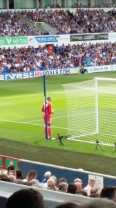 36005304804_15826af0a9_o