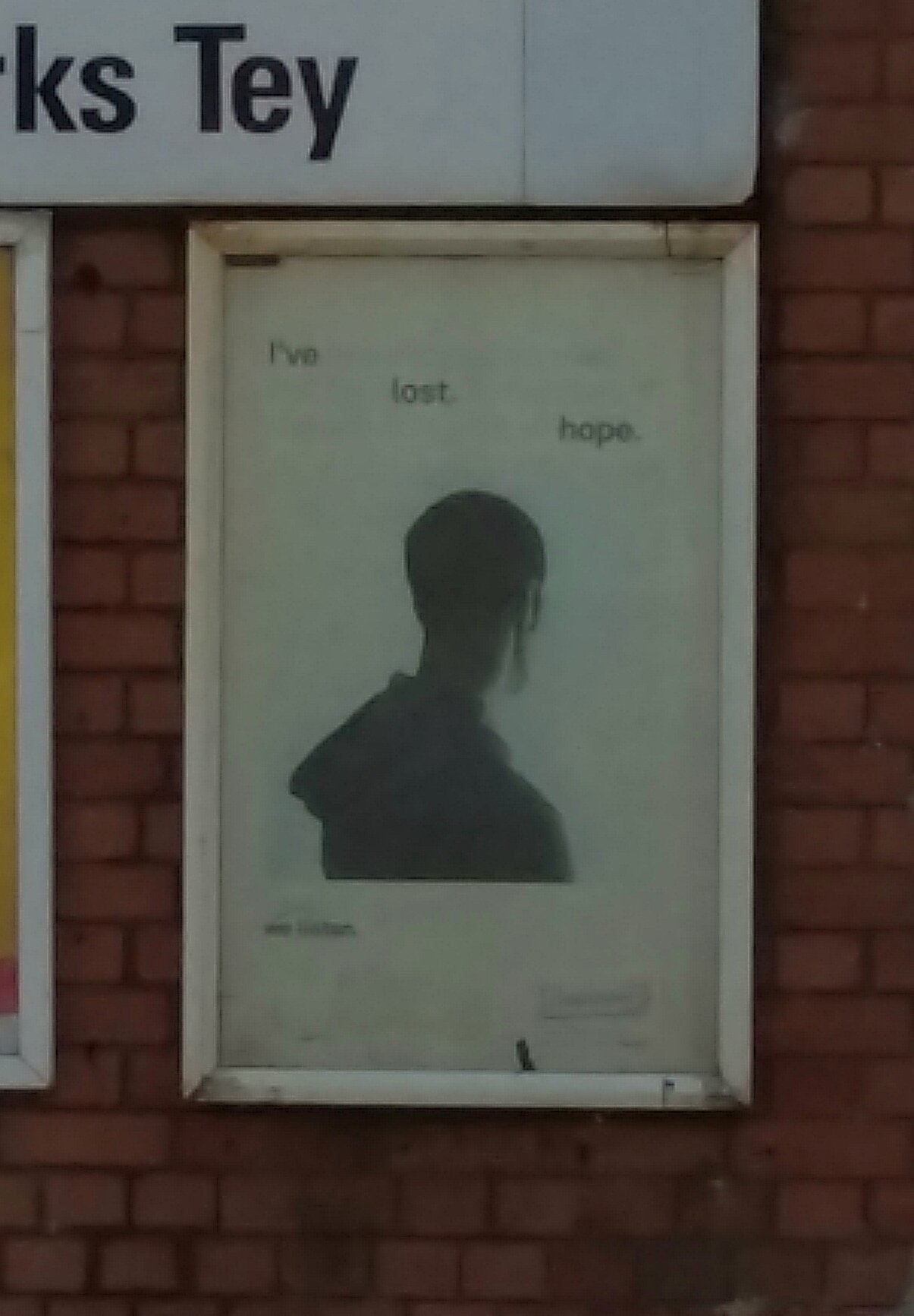 36677654895_b0685b3db9_o-1