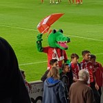 36505980753_7419e799c4_o