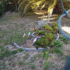 37010937752_0f2b1b1e4c_o