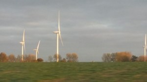 37448300030_dc11d0db12_o