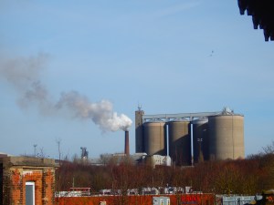 OLYMPUS DIGITAL CAMERA