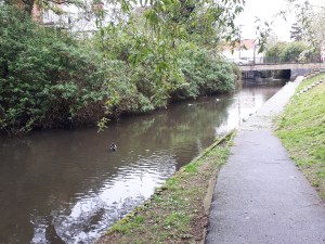 39969490770_e013c32e92_o