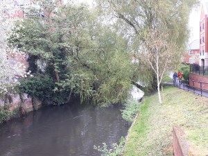 41735827652_308b47713e_o