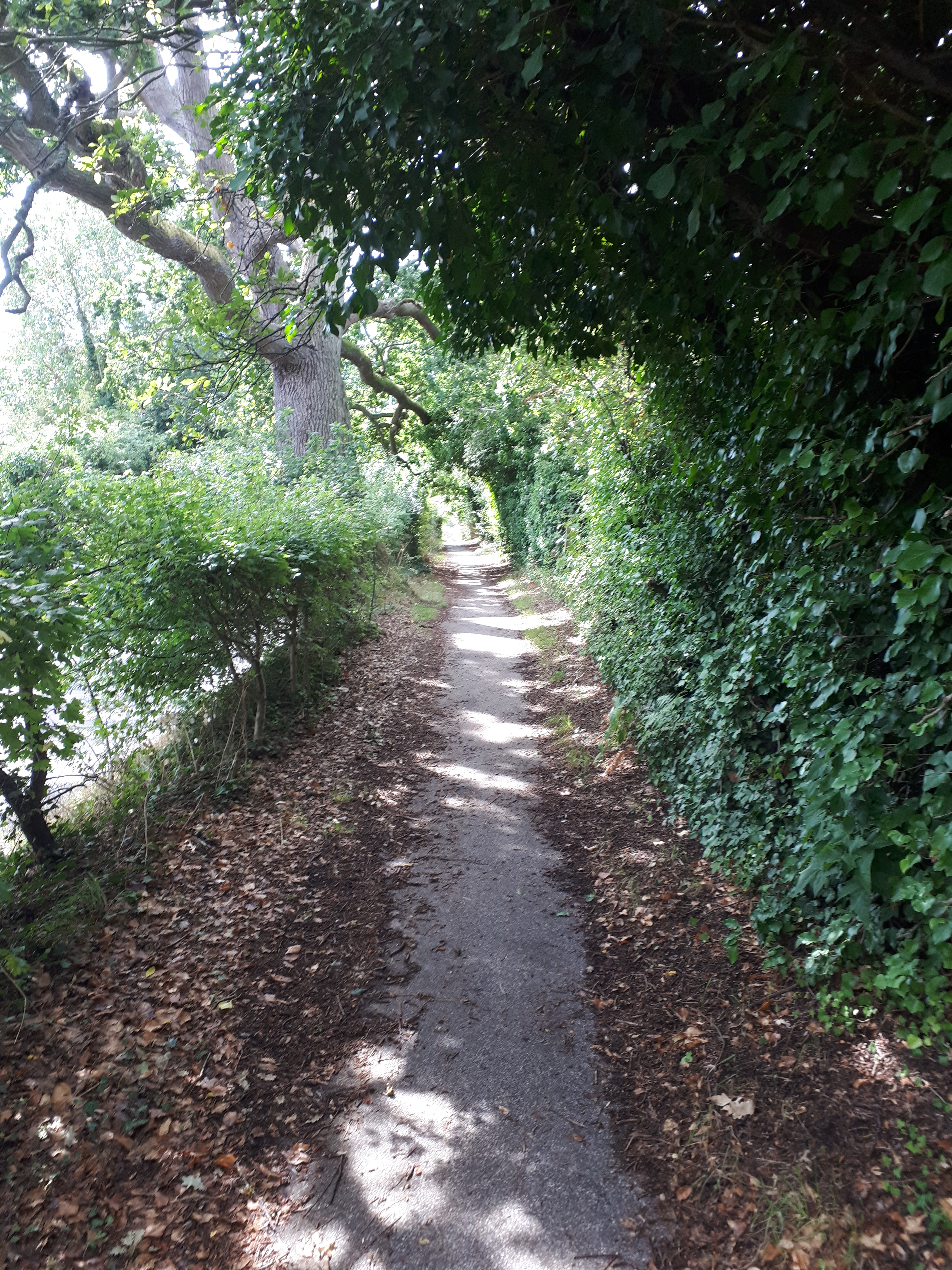 43072886655_a4cf6c222d_o