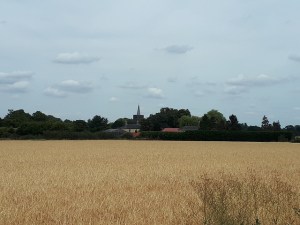 43126215994_375b3b9725_z