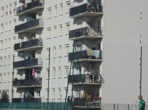 44294420204_39f8378ac4_o