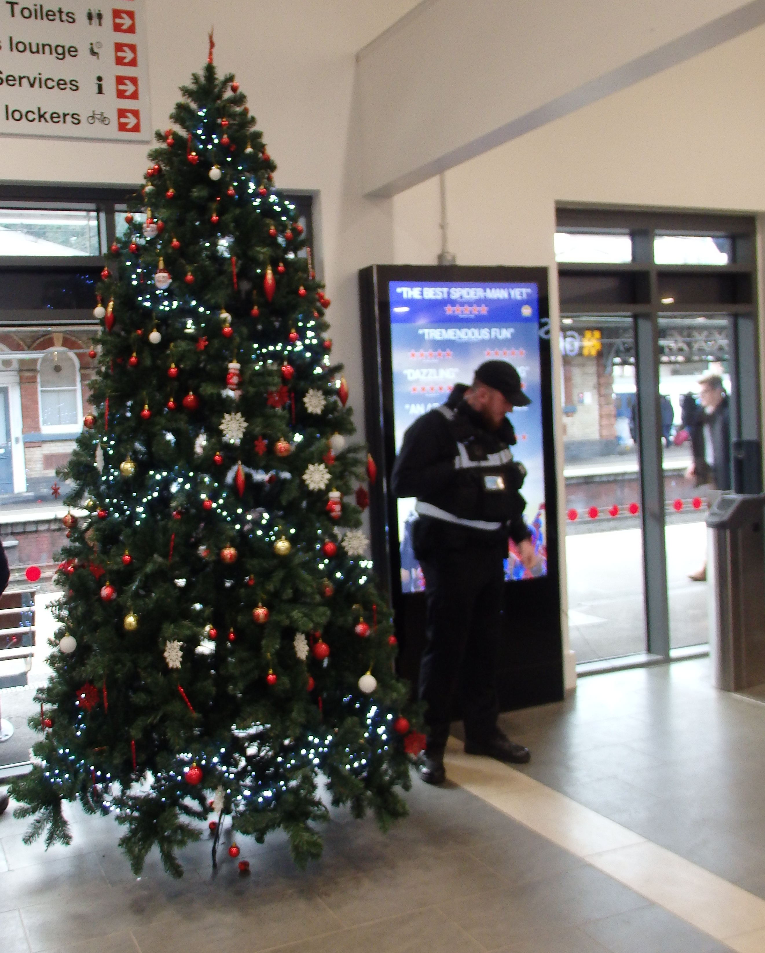 'paramilitary' ticket collector
